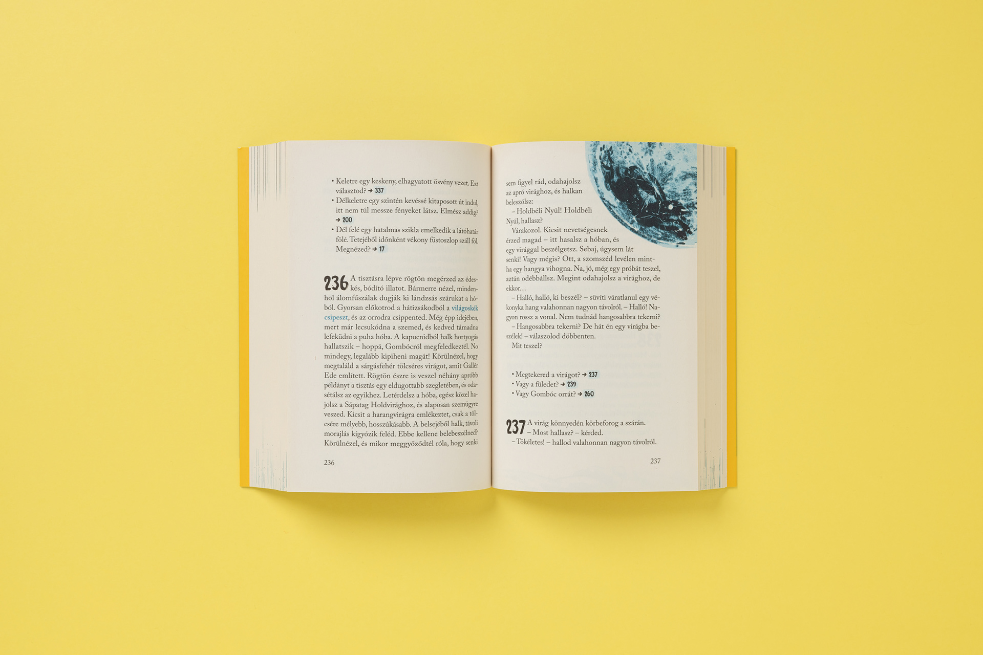Book design and illustration detail