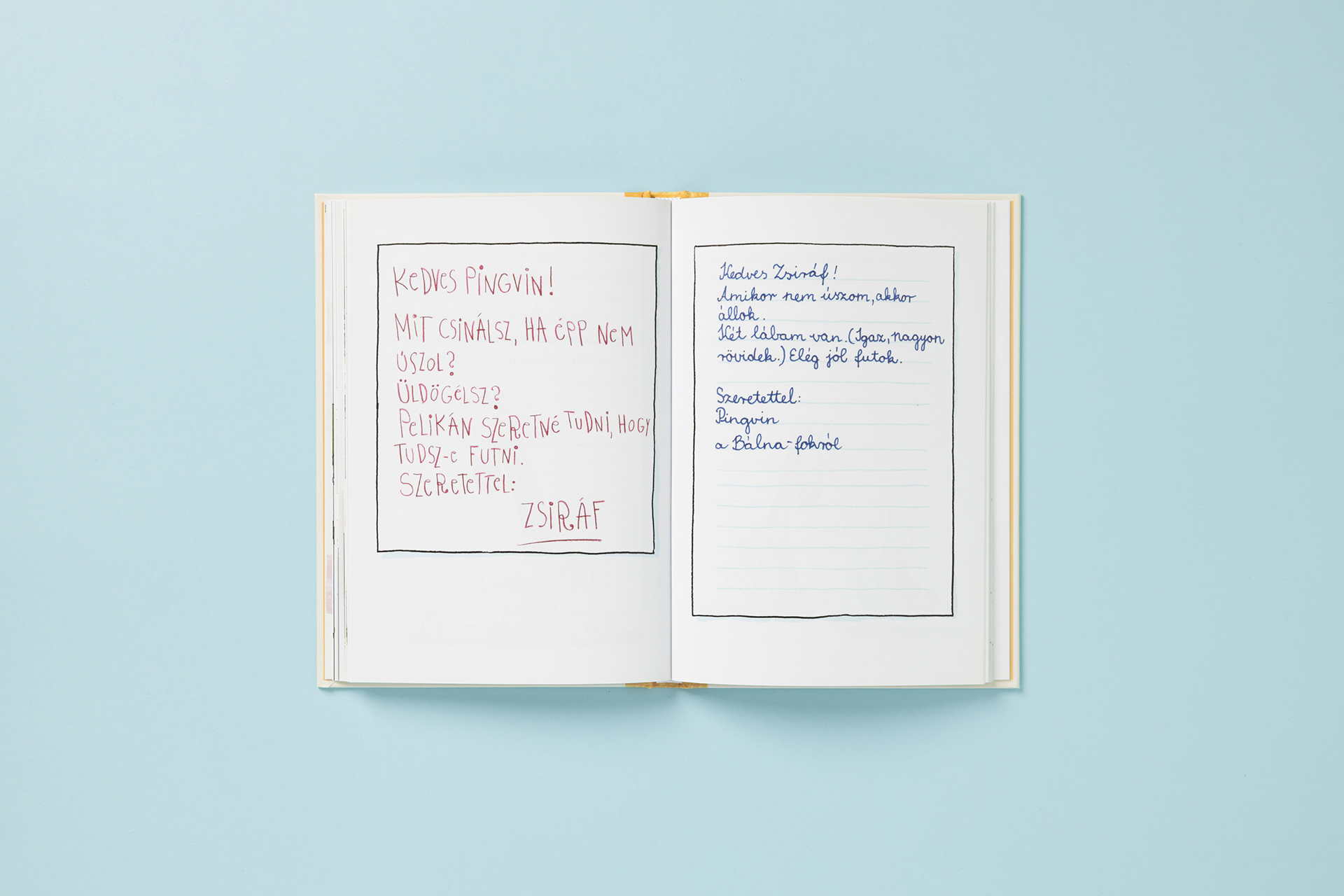Illustration and lettering adaptation